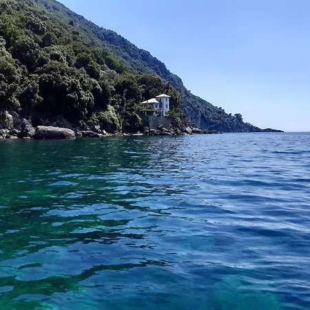 Albachiara Camogli