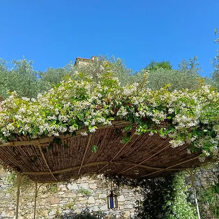 Albachiara Bed & Breakfast