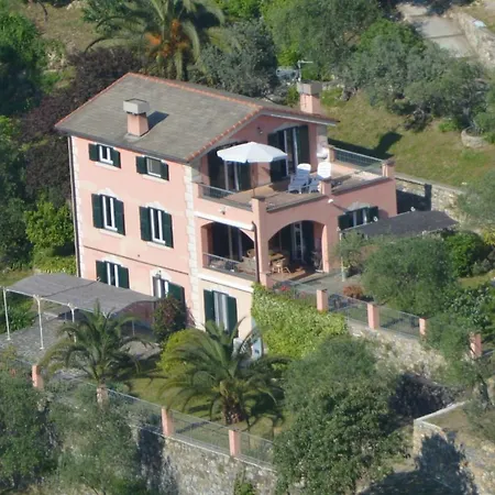 Albachiara Camogli