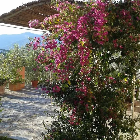 Bed & Breakfast Albachiara