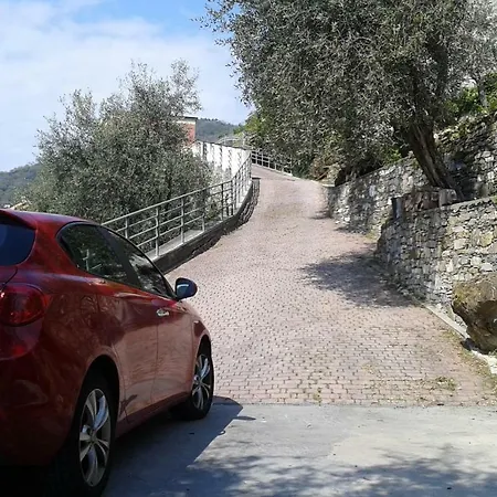 Albachiara