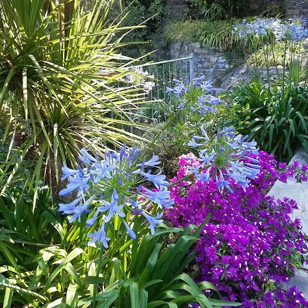 Bed & Breakfast Albachiara