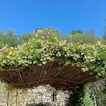 Albachiara Bed & Breakfast