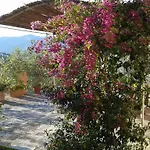 Bed & Breakfast Albachiara