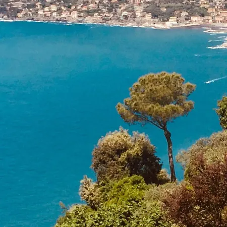 Albachiara Bed and Breakfast