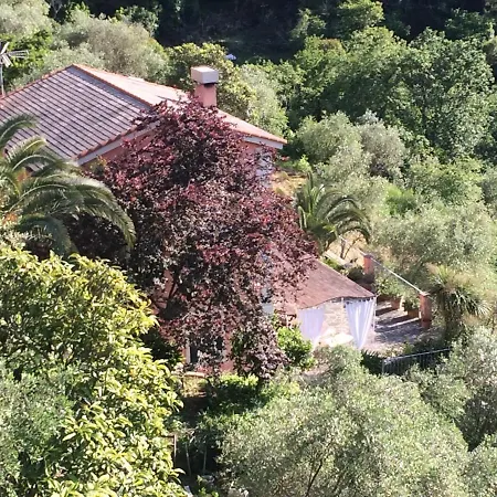 Albachiara Bed and Breakfast Camogli