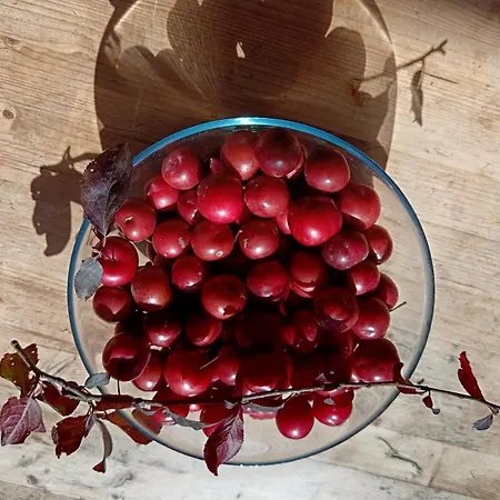 فندق مبيت وإفطار Albachiara 2*